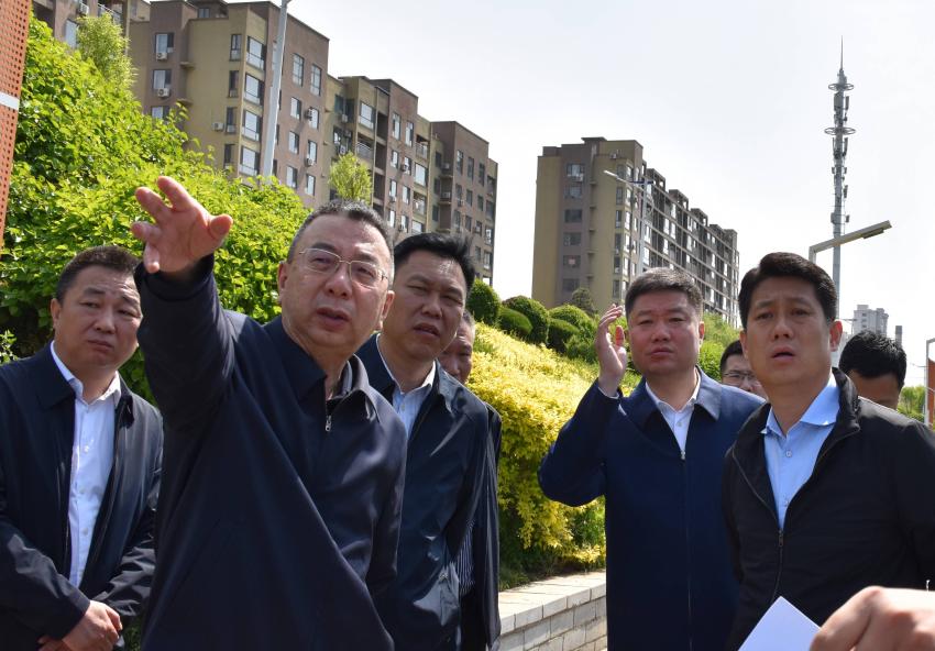 省领导来桥调研生态环境工作